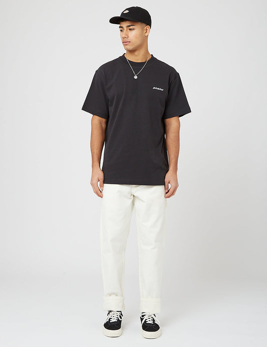 DC Carpenter Pant - Stone Washed Cloud