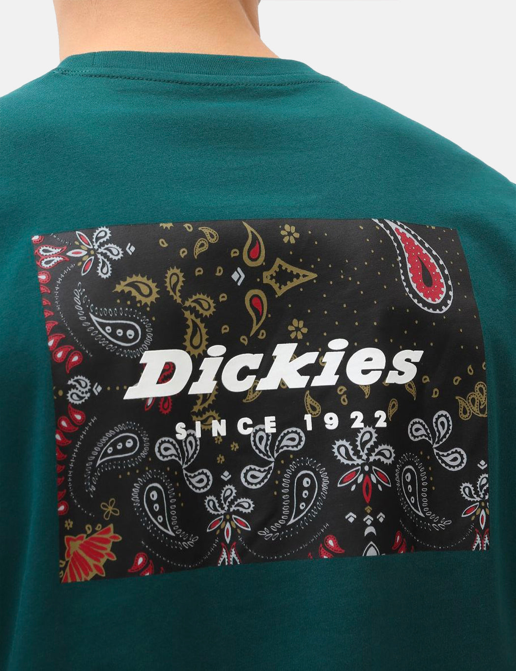 Reworked T-Shirt - Ponderosa Pine Green
