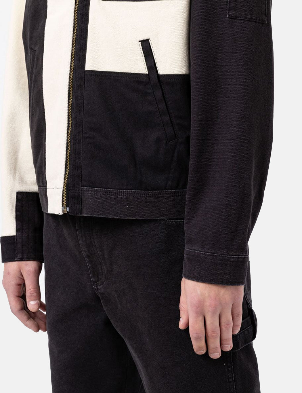 Anniversary Jacket - Assorted Colour